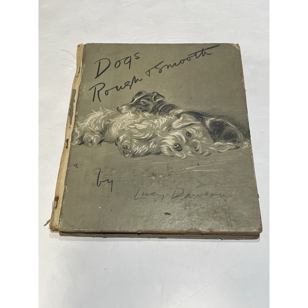 Dogs Rough and Smooth Lucy Dawson 1937 Grosset & Dunlap 16 Color Plates Vintage